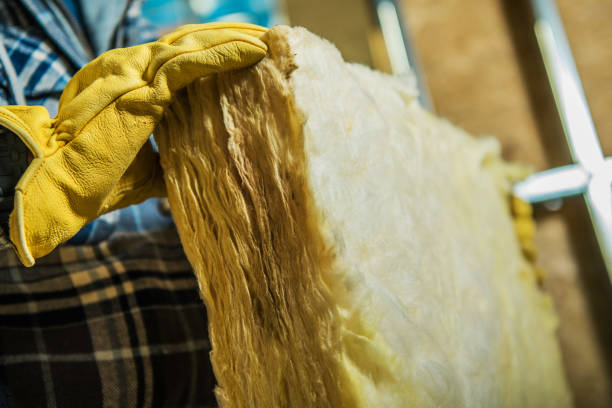Best Cellulose Insulation in Emporia, KS